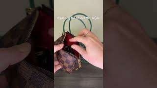 Organising the Goyard Anjou Mini  Handbag Angels bag organiser [upl. by Cornia]