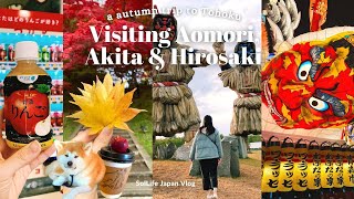 JAPAN TRAVEL VLOG Autumn trip to Tohoku  Exploring Aomori Akita amp Hirosaki [upl. by Eema]