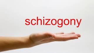 How to Pronounce schizogony  American English [upl. by Aisilef424]