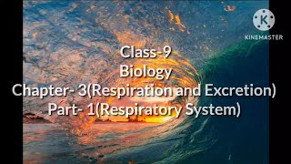 Biology Class 9Chapter 3Part1Respiratory System [upl. by Sayer]