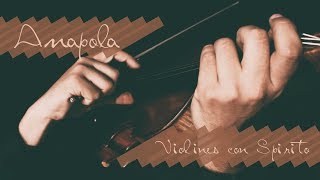 Amapola Instrumental  Ennio Morricone Cover Violines con Spirito  アマポーラ [upl. by Frodin146]