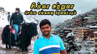 Shimla Travel Guide 2022 I சிம்லா சுற்றுலா செல்ல Budget எவ்வளவு தேவைப்படும் I Village Data Base [upl. by Ecyak982]