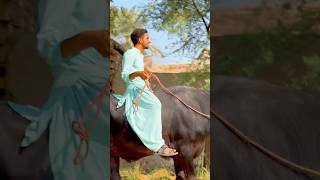 Buffalo Ride Video shorts shortvideo buffalo [upl. by Ingaborg]