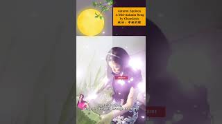 🌕Autumn Equinox， 秋分 A Musical Reflection of Balance and Change Happy Mid Autumn Festival 中秋节快乐 [upl. by Atilem]