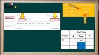 WCLN Qualitative Analysis Using Precipitation Reactions  Chemistry [upl. by Fidelis]