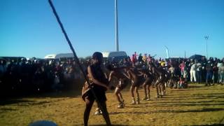 Tswana dance in Setlagole [upl. by Yusuk472]