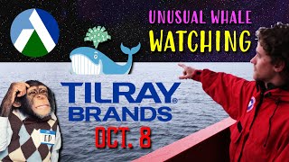 Tilray Brands Unusual Activity for October 8 [upl. by Maighdlin]