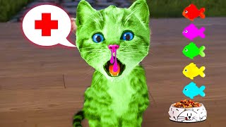 LITTLE KITTEN ADVENTURE AND GREEN CAT  CAT CARTOON VIDEO  FUNNY ADVENTURE CAT LONG SPECIAL [upl. by Hallett262]