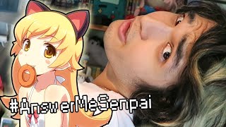 ITS THE NEKO RAP YO AnswerMeSenpai [upl. by Hayimas]