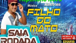 SAIA RODADA MÚSICA FILHO DO MATO REPERTÓRIO NOVO [upl. by Thera]