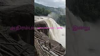 athirapally falls today live [upl. by Arivle452]