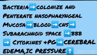 CNS PATHOLOGY 1 Major Topic Meningitis [upl. by Kal79]