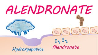 Alendronate sodium FOSAMAX for osteoporosis and Pagets disease [upl. by Aissatsan]