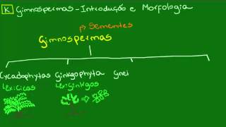 Morfologia das Gminospermas  Botânica  Biologia [upl. by Atinuahs]