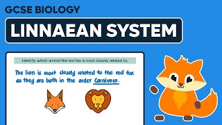 Linnaean System of Classification  GCSE Biology [upl. by Nosretep62]