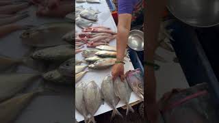 Live Fish Market Kamothe Navi Mumbai fishmarket surmaifish fishlive [upl. by Stevena]