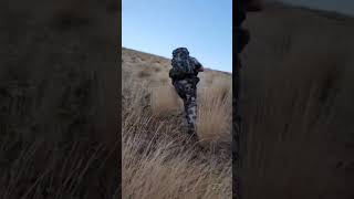 Our Idaho Elk hunt success hardwork hunting [upl. by Gnak]