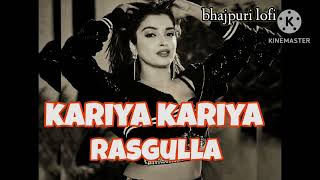 kariya kariya rasgulla 🥵🥵 slow Reverb bhojpuri lofi song khesari lal yadav [upl. by Garretson]