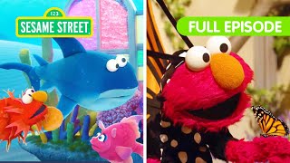 Elmos Animal Friends  FOUR Sesame Street Full Episodes [upl. by Hajidak]