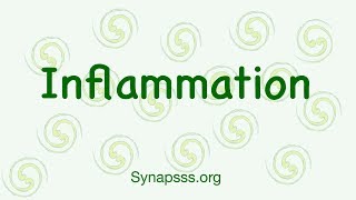 Inflammatory Response Inflammation Pathology  Signs Steps and Pathogenesis Acute and chronic [upl. by Trotta]