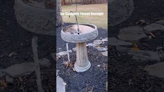 Ice Stalagmite Forms at the Birdbath birdbath backyard ice stalagmites [upl. by Kiri]