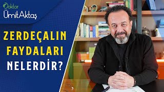 Zerdeçalın Faydaları Nelerdir ve Nasıl Kullanılır  Bitkilerin Altını [upl. by Tillman]