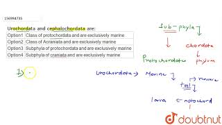 Urochordata and cephalochordata are [upl. by Hekker493]