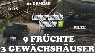 LS25 NEWS  9 Früchte in Gewächshäusern anbauen  Pilze  Chilli  Zwiebeln  Knoblauch [upl. by Furey28]