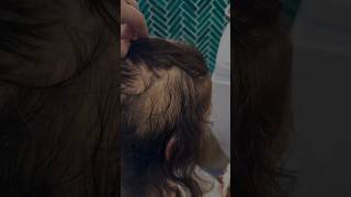 Triple Hair Growth Toner haircare hairtips hairgrowth [upl. by Hebel]