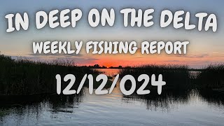 The In Deep On The Delta Weekly Fishing Report For 12122024 [upl. by Akemad]