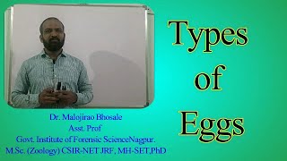 Types of Eggs in EmbryologyI Isolecithal I Telolecithal I Centrolecithal I Alecithal I Microlecithal [upl. by Ahsaeym]