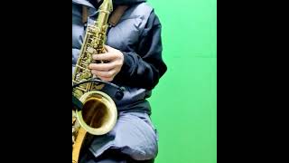 앨토색소폰alto sax제이색소폰jsaxophone콘Conn 음색듣기perhaps lovealto saxophone [upl. by Dulcea707]