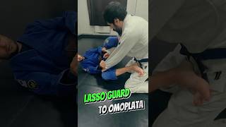 Lasso Guard to Omoplata Секрет раскрыт [upl. by Odlanar]