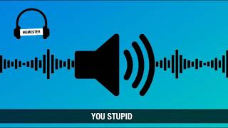 You stupid meme sound effect [upl. by Orapma]