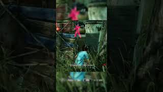 👁️👄👁️ dbd dbdmemes dbdshorts dbdgameplay deadbydaylight dbdsurvivor [upl. by Eilyk]