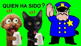 Lindo gatito o lindo perrito ¿quien se ha bebido la leche Videos de gatos graciosos Luna y Estrella [upl. by Enirod]