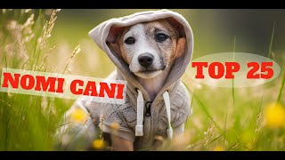 TOP 25 migliori nomi per cani maschio e femmina in ITALIANO 🐕Idee di nome di cane🐕 cane cani [upl. by Itnahsa]