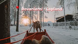 Santa Claus Reindeer 4K 🦌 Santa Claus Village  Rovaniemi Lapland 2024 🎅🏼 [upl. by Trygve317]