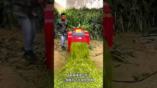 New technology number one cutting machine fnbanglasociety technology machine [upl. by Aicram]