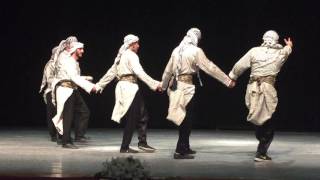 Palestinian Tradtional Dabke at Near East University [upl. by Nevla]