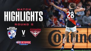 Western Bulldogs v Essendon Highlights  Round 5 2024  AFL [upl. by Ilocin]