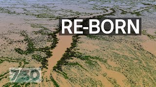 Lake Eyre’s biggest flood in nearly 50 years  730 [upl. by Ahsel983]