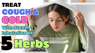 Treat Cough amp Cold In Winter With Steam Inhalation of These Five Herbs [upl. by Haldas]