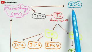 Cytokines  Bio science [upl. by Spalla149]