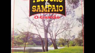 Teodoro amp Sampaio  O Gavião  Album completo 1996 [upl. by Mcnelly]