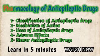 Pharmacology of Antiepileptic Drugs l Mechanism of Action l Classification l Newer Antiepileptics [upl. by Hinze]