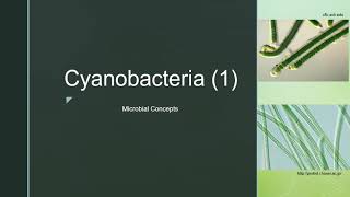 Cyanobacteria 1  Blue Green Algae Cell structure  Examples  Reproduction [upl. by Ayala]