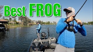 Best Frog Lure for Bass Fishing  How to Fish Frog [upl. by Thadeus287]