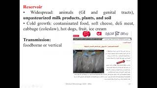 Chapter 3 Coryneform bacteria listeria and erysipelothrix [upl. by Ikey]