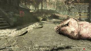 Fallout 76 Kill A Yao Guai Location [upl. by Perkin52]